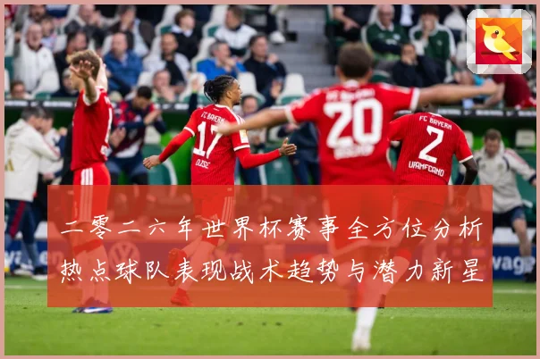 二零二六年世界杯赛事全方位分析热点球队表现战术趋势与潜力新星数据研判