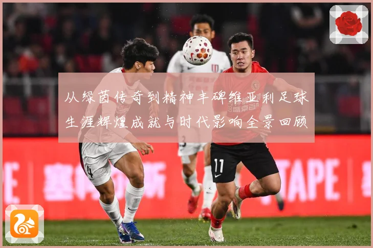 从绿茵传奇到精神丰碑维亚利足球生涯辉煌成就与时代影响全景回顾