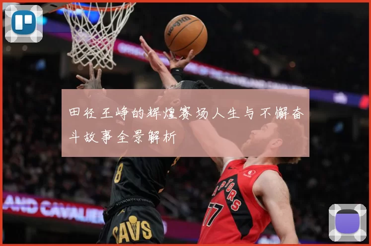 田径王峥的辉煌赛场人生与不懈奋斗故事全景解析